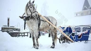 冬暖<strong>夏凉</strong>的圣诞<strong>节</strong>骑马